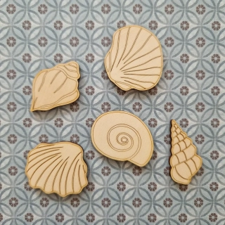 Sada mušlí